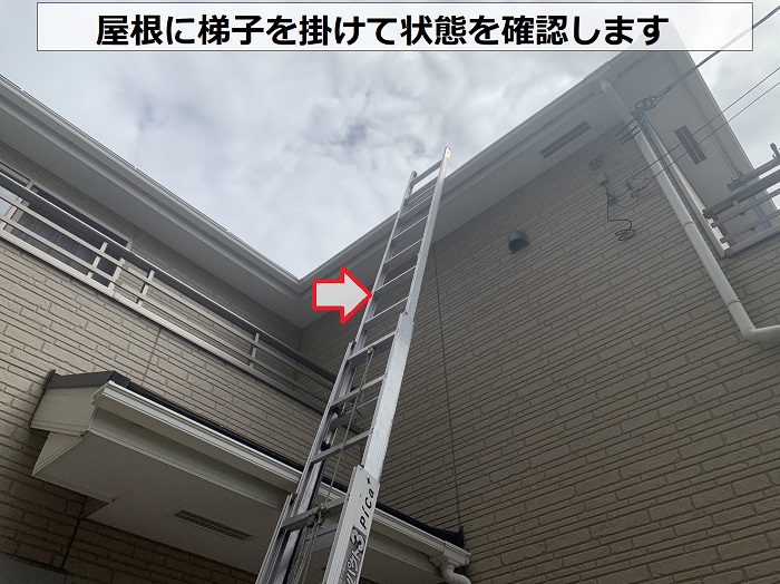 台風被害を受けたスレート屋根に梯子を掛けている様子