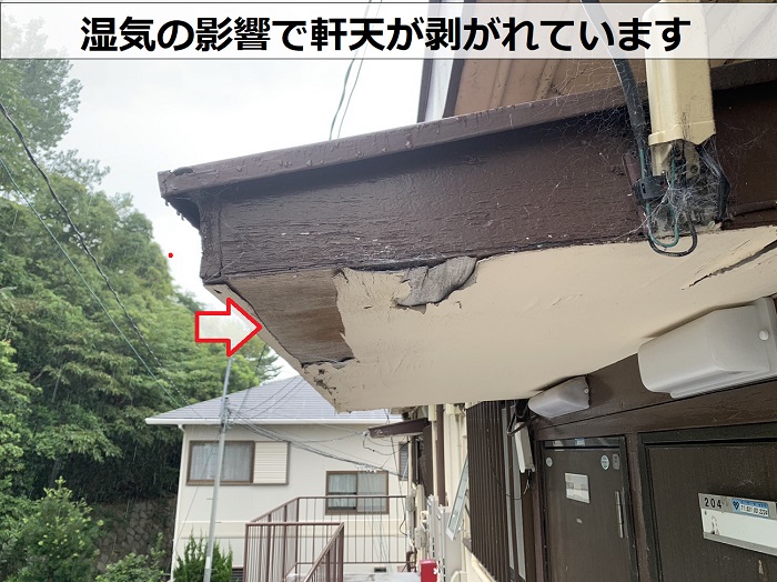 湿気の影響でアパートの軒天が剥がれている様子