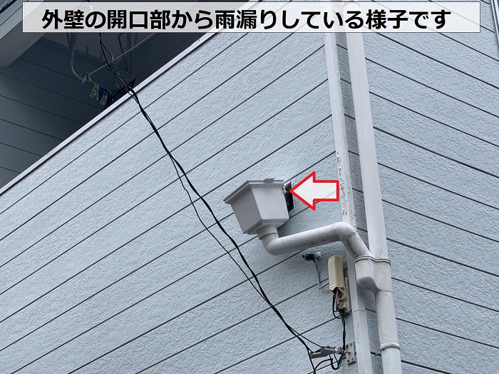 雨樋が外れている様子
