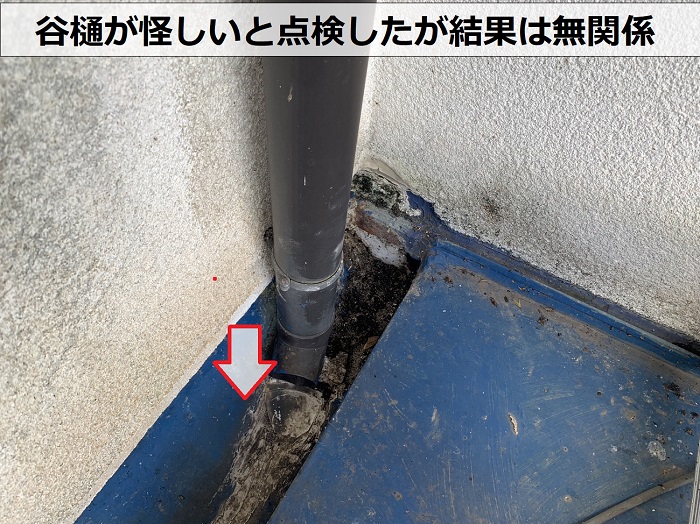 雨漏り原因は谷樋にあると専門業者が点検を行ている様子