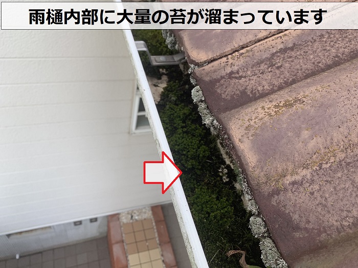 雨樋内部に大量の苔が溜まっている様子