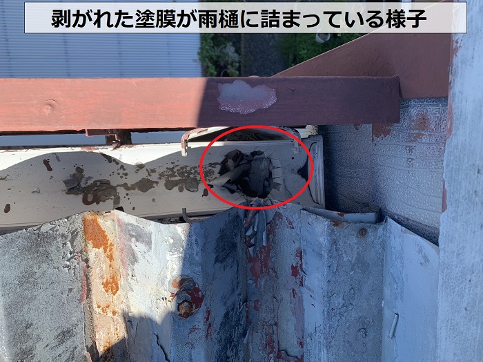 折半屋根の剥がれた塗膜が雨樋に詰まっている様子