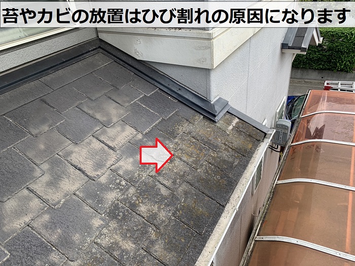 スレート屋根の苔やカビの放置はひび割れの原因になる