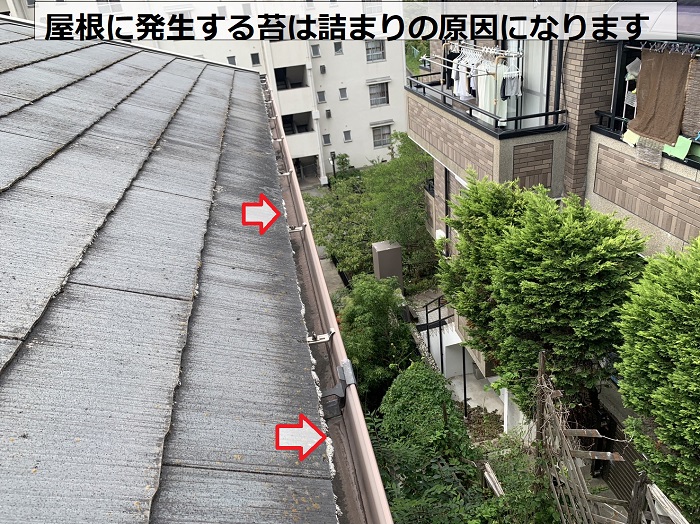 スレート屋根に発生する苔のメンテナンス方法