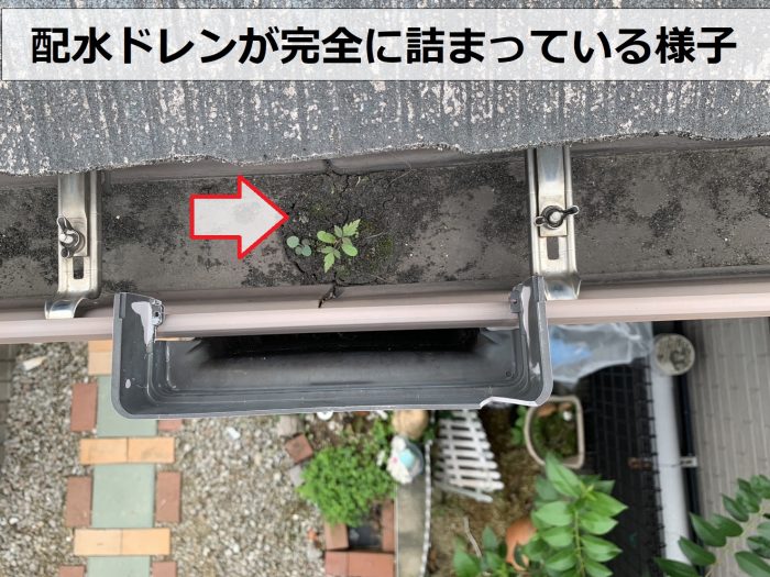 雨樋の排水ドレンが詰まっている様子