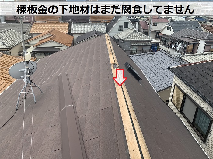 築１０年の棟板金の下地材は腐食していない様子
