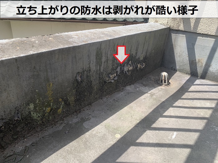 バルコニーの立ち上がり防水が剥がれている様子