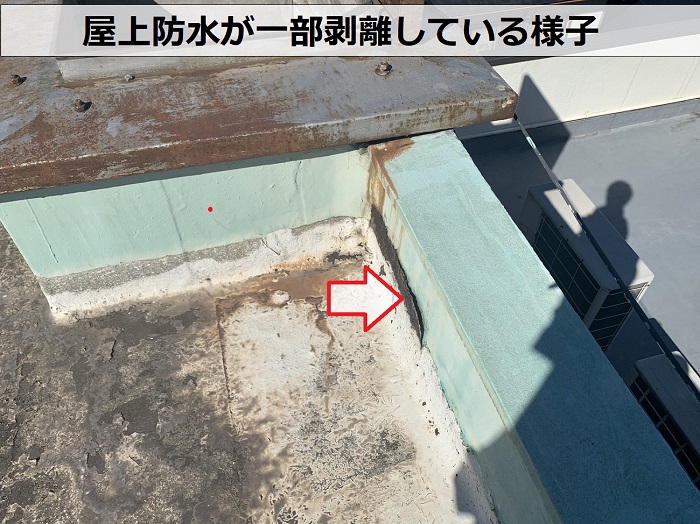 ４階建てビルの屋上防水が一部剥離している様子