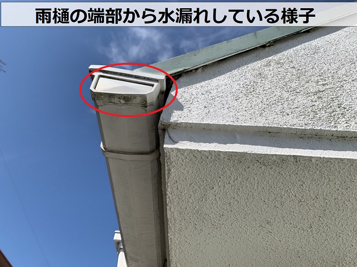 外装リフォームの無料見積りで雨樋の端部から水漏れしているのを発見した様子