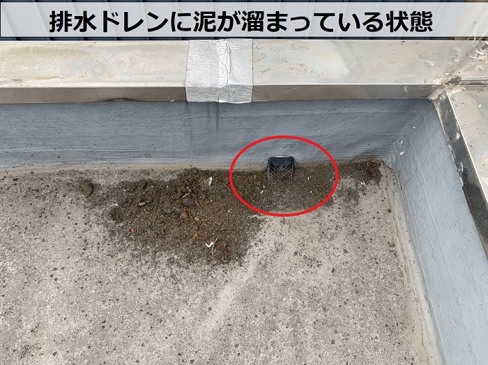屋上の排水ドレンに泥が溜まっているが雨漏りはしていない様子