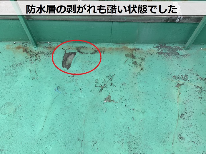 中古物件の雨漏りの有無を確認していると防水層の剥がれが酷いのを発見