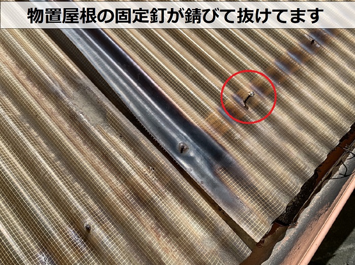 物置屋根の固定釘が錆びて浮いている様子