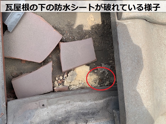 雨漏り無料診断で瓦屋根の下の防水シートが破れているのを発見した様子