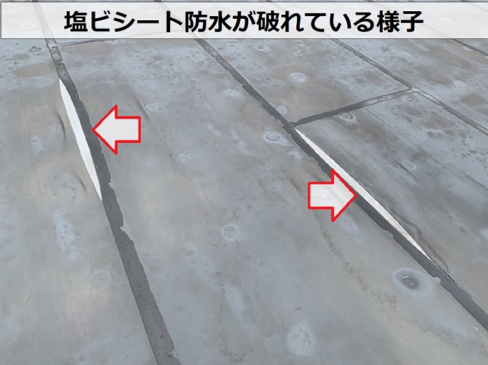 塩ビシート防水が破れている様子