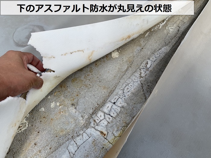 塩ビシート防水が破れて下のアスファルト防水が丸見えの様子