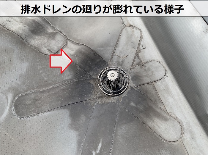 排水ドレンの廻りが膨れている様子