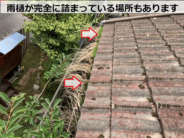 雨樋内部に泥や苔が詰まって水漏れしている様子