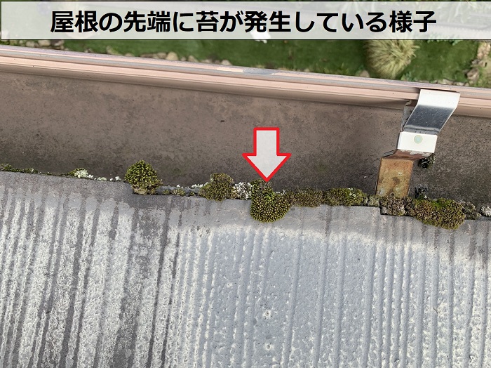 カラーベスト屋根の無料点検で苔の発生を確認