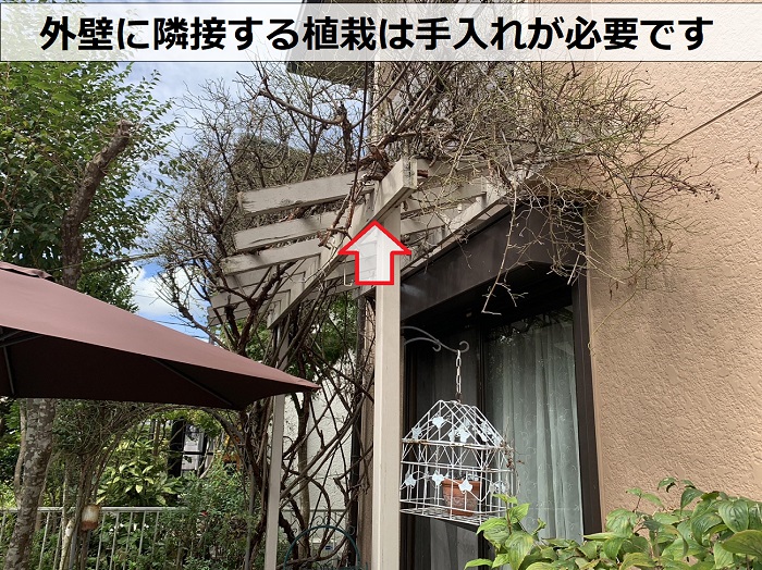 外壁の無料点検で隣接している植栽の手入れが必要とご提案