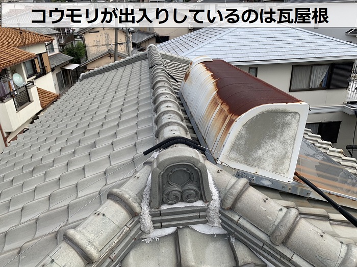 家コウモリが出入りしていると言われている瓦屋根