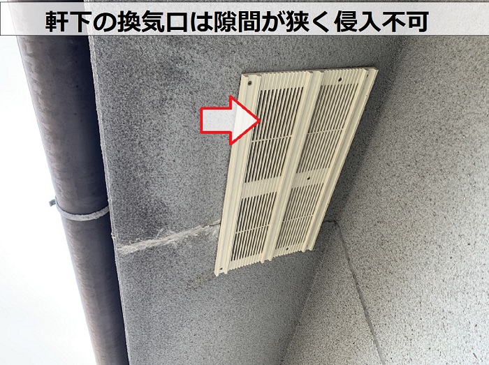 軒下の換気口は隙間が狭く家コウモリの侵入は不可能