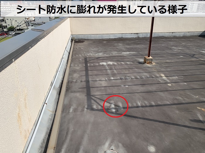 ビルの陸屋根シート防水に膨れが発生している様子