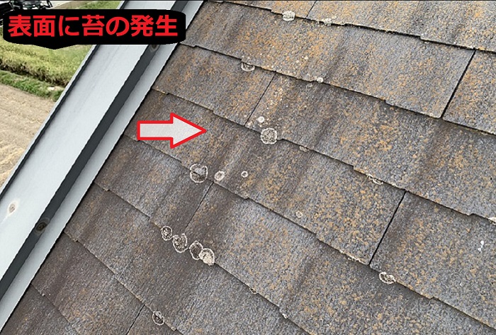 カラーベスト屋根の表面に苔の発生