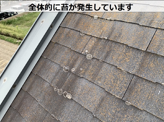 ２階建てアパートの屋根に苔が発生している様子