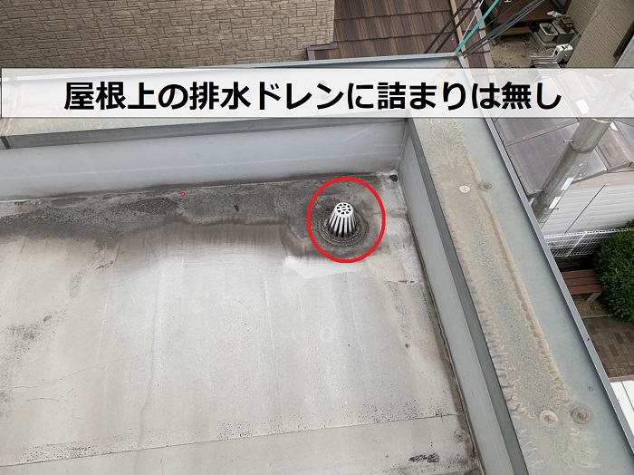 ２階建てアパートの屋根点検で排水ドレンを確認