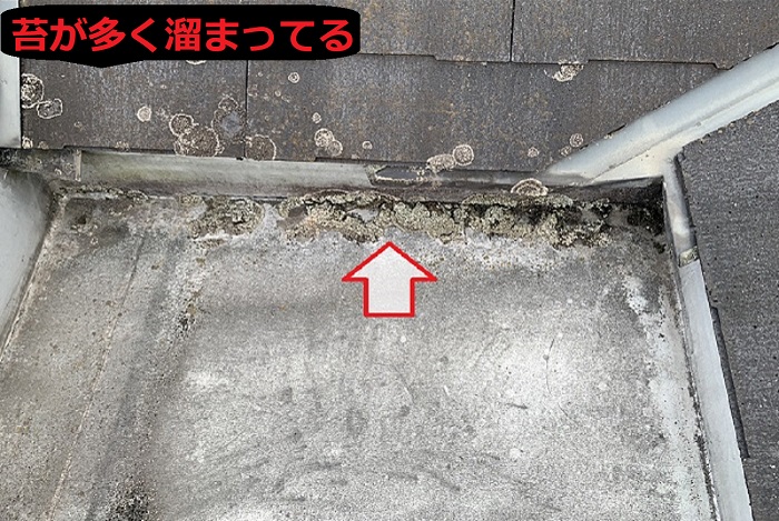 防水の上に苔が溜まっている
