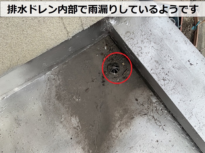 玄関上のトタン屋根は排水ドレン内部で雨漏りしている様子