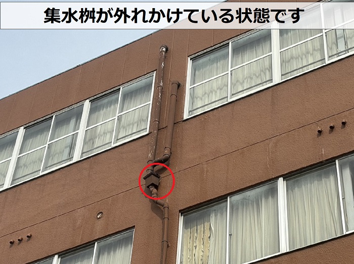 加東市ビルの雨樋無料点検で集水桝が外れているのを確認した様子