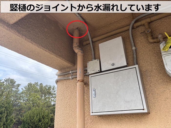 3階建てマンションの竪樋のジョイントから水漏れしている様子