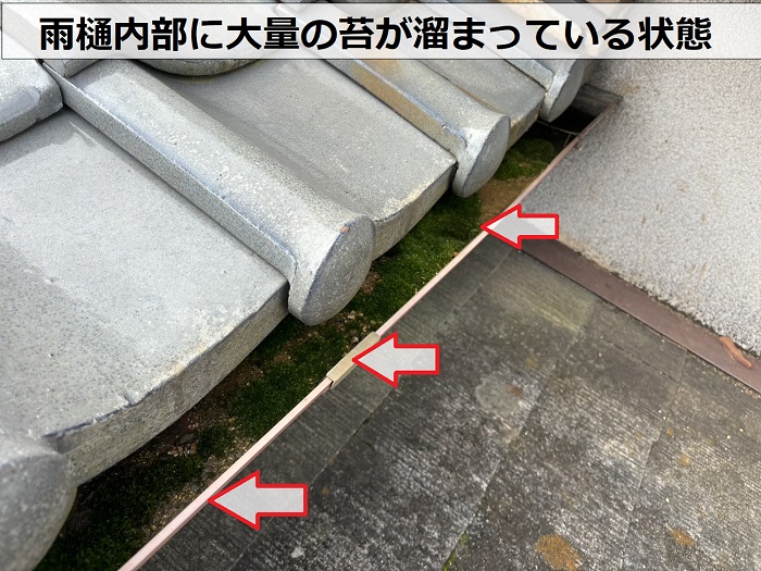 三木市で空き家の無料点検を行っている現場で雨樋内部に苔が溜まっている様子