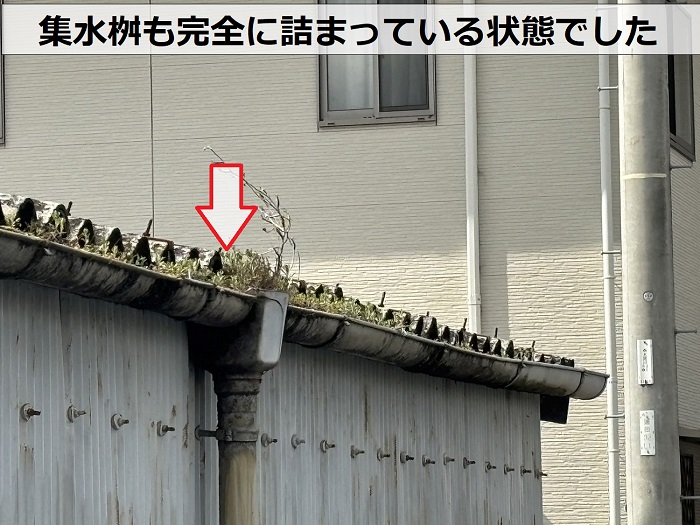 駐車場の雨樋が完全に詰まっている様子