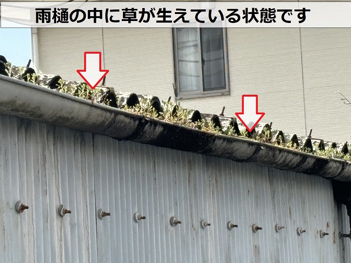 駐車場の雨樋の中に草が生えている状態です