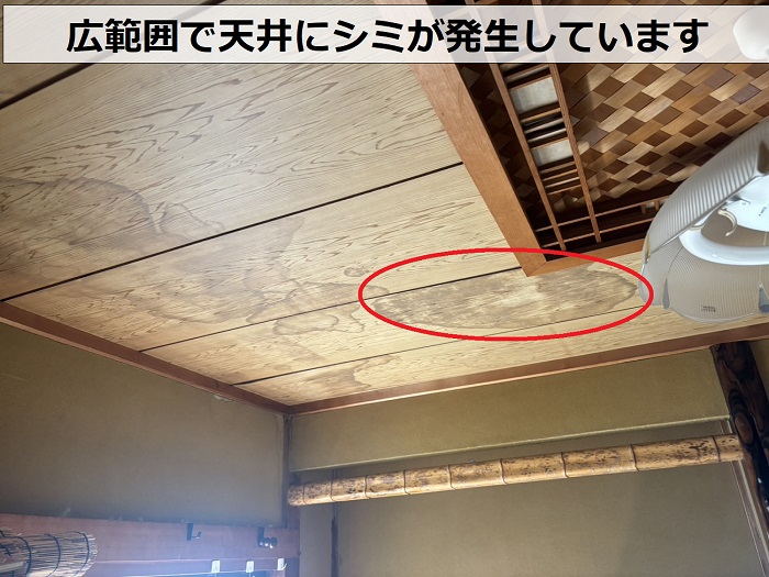 雨漏りの様子