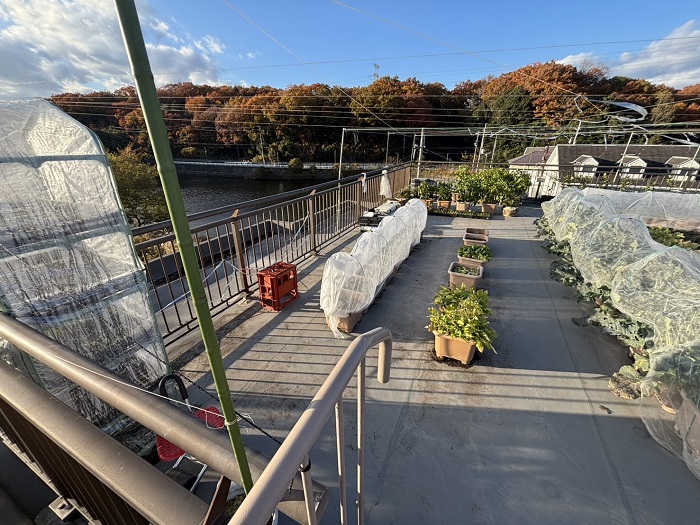 神戸市北区でヘーベルハウス一軒家の陸屋根防水工事でシート防水を張り替える前の様子