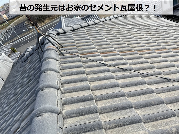 雨樋詰まりの原因はセメント瓦屋根