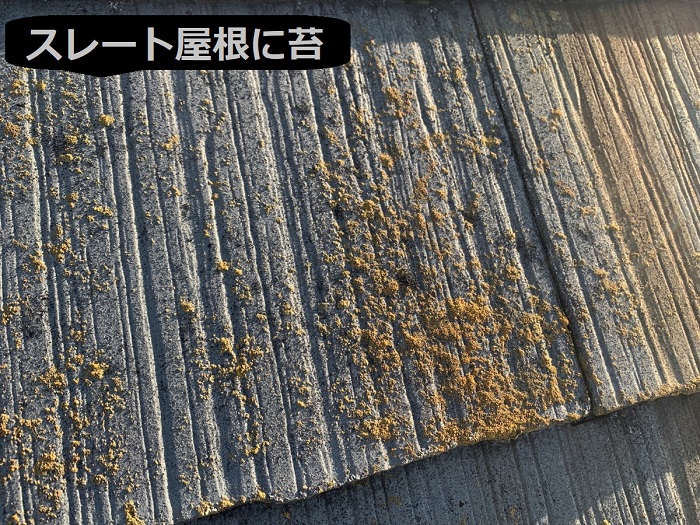 スレート屋根に苔が発生している様子
