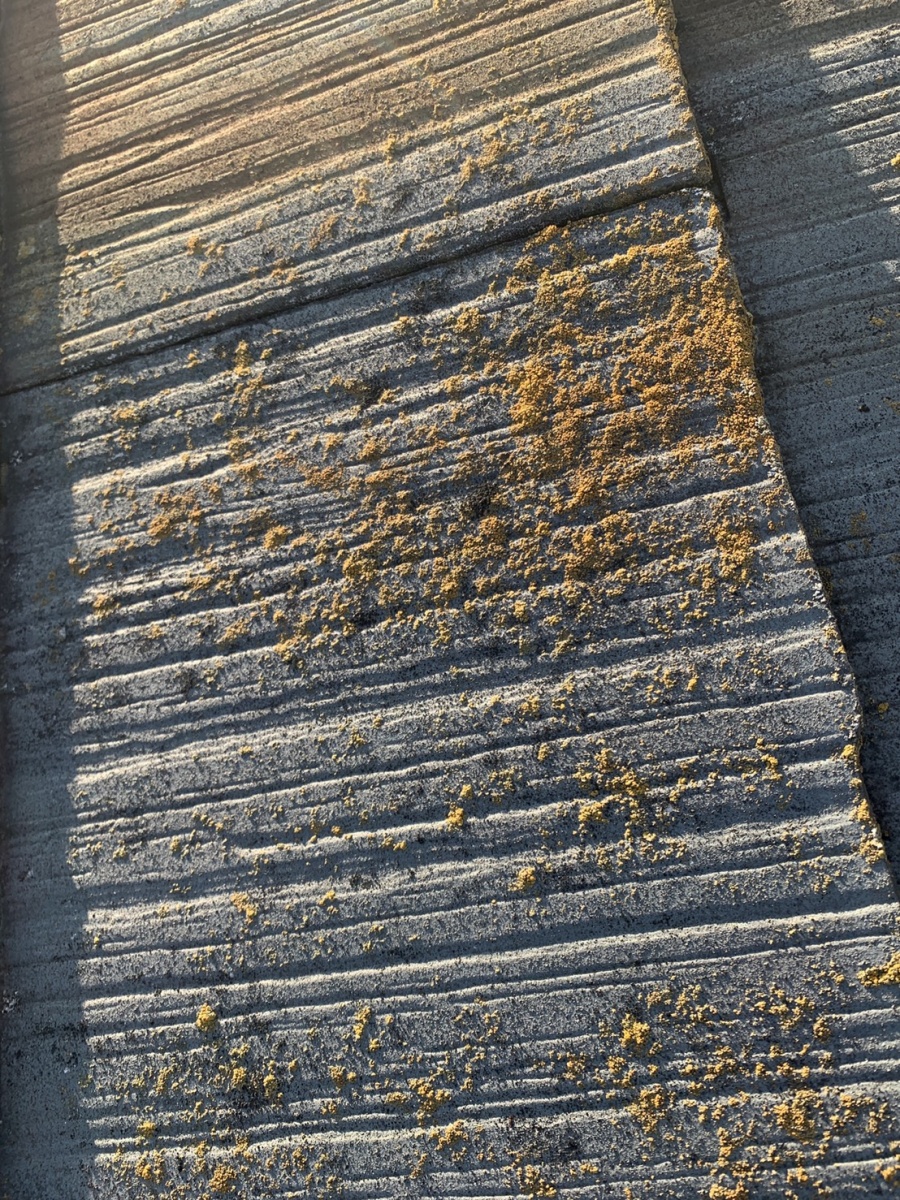 淡路市でのスレート屋根点検でのカラーベストの様子