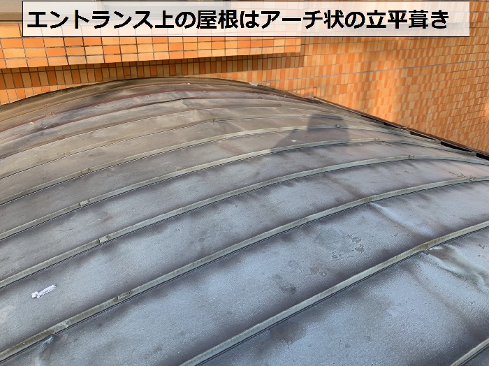 芦屋市で雨漏り診断士が無料診断する屋根の様子