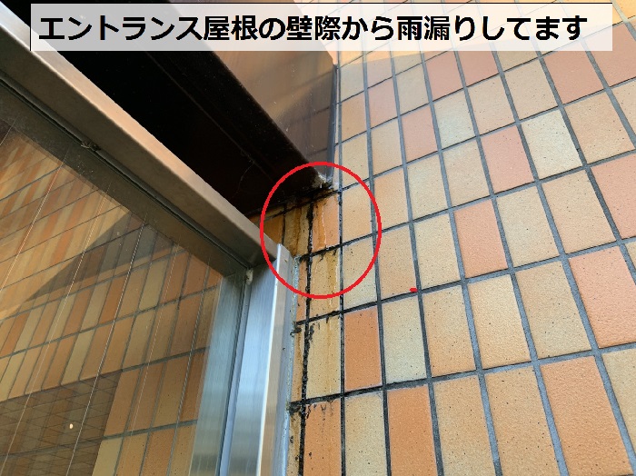 エントランス屋根の壁際から雨漏りしている様子