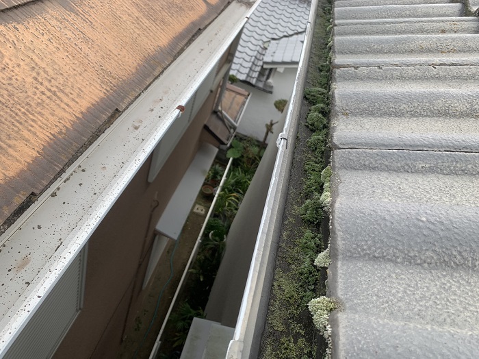 雨樋内部の苔　清掃前