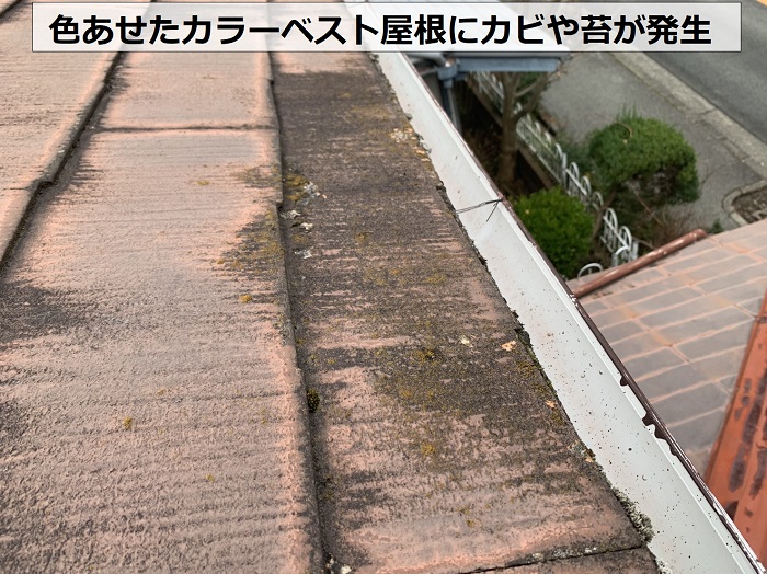 色あせたカラーベスト屋根にカビや苔が発生している様子