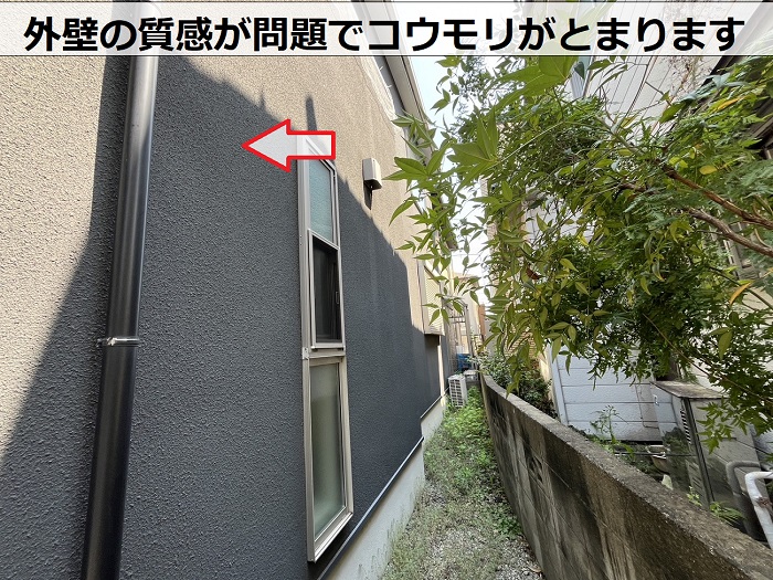 外壁の家コウモリがとまる下人の外壁