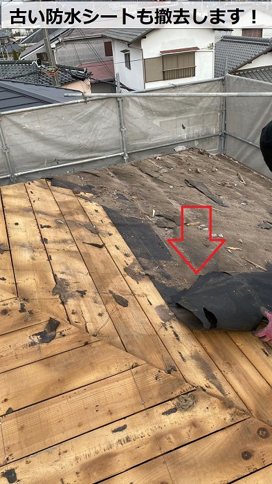 古い防水シートを撤去している様子