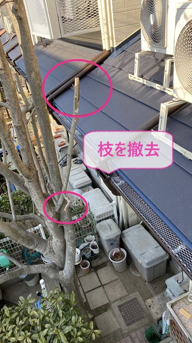 軒樋の落ち葉除け対策工事で枝打ち