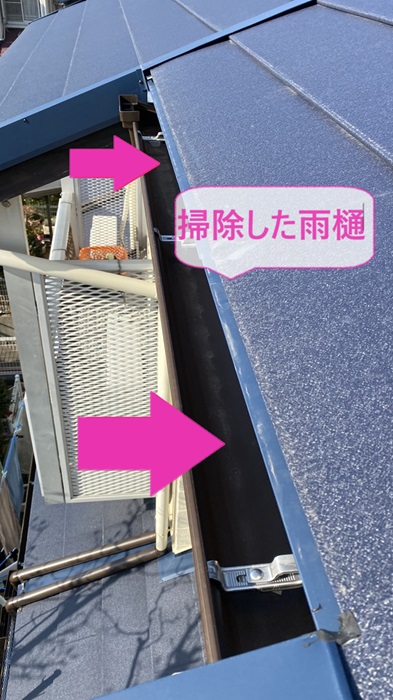 軒樋の落ち葉除け対策で軒樋を清掃