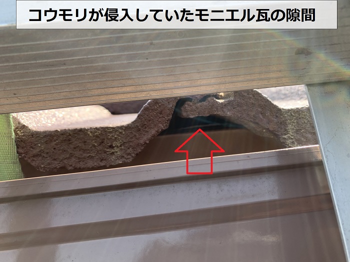 コウモリが侵入してきたモニエル瓦屋根の隙間